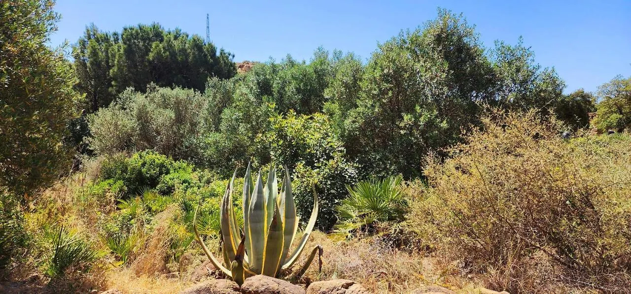 Apartment Complejo Rural Los Pedregales Estepona Spain